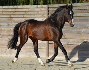 Silvio I at his home in France