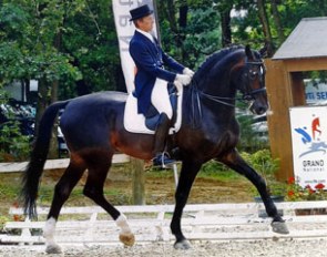 Luc Tackaert on Ferrolan (by Ferro x Ramiro Z)