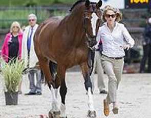 Arlene Page and Alina at the trot up of the 2014 U.S. Dressage Championships and WEG trials :: Photo © Sue Stickle