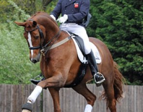 Michael Eilberg and Woodlander Farouche in the warm-up before their Prix St Georges test on 4 May 2014 :: Photo © Selene Scarsi