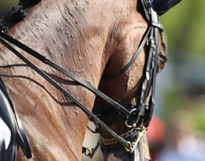 Arlene Page's Danish mare Alina
