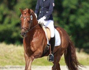 Eve Deilmann Walsh on Na Also