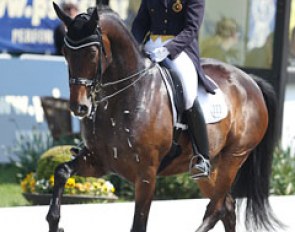 Belgian Ona Dewagenaere and the hot Dabanos d'O4. The horse is very talented for piaffe and passage but always gets too hot and tense in the arena to put the big scores on the board