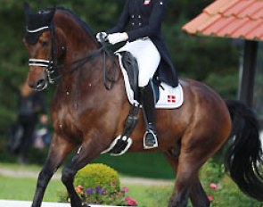 Sille Engermann on Fernet D
