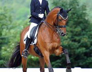 Helen Erbe riding Juliette Piotrowski's former Young Rider's horse Dornfelder