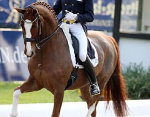 Holga Finken and Daily Pleasure (by De Niro x Ehrenmarsch). Daily Pleasure is the very typical De Niro Grand Prix horse with super trot extensions, half passes, great potential for piaffe and a mediocre walk.
