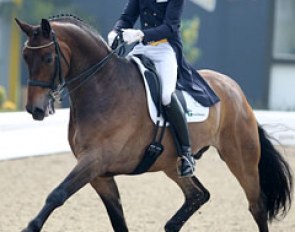 Jan Dirk Giesselmann on Real Dancer (by Rubin Royal). Horse has a very nice piaffe-passage but needed to be more up in the bridle. The contact was an issue as the mouth was open almost all the time. 