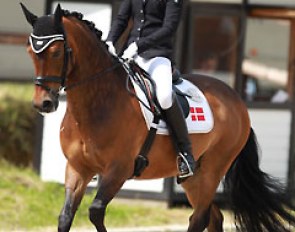 Mille Hammerfelt on Mastwood Donaldson
