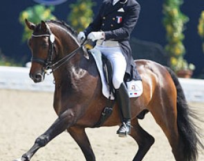 French duo Ludovic Henry and After You (by Abanos) are making progress with each show. The pair is now permanently based with French team trainer Jan Bemelmans