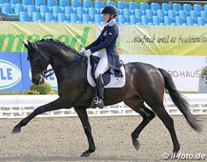 Sofie Lexner on Highlander (by Hohenstein x Hill Hawk xx)