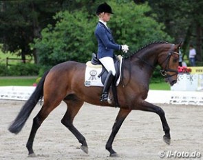 Eva Möller on Flirtfaktor at the 2014 Hagen Bundeschampionate qualifier :: Photo © LL-foto