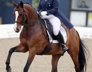 Casey Nilsson and Pentimento in the Louisdor cup qualifier at the 2014 CDI Hagen :: Photo © Astrid Appels