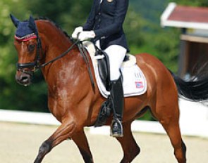 Beukenhof's Ricardo :: Photo © Astrid Appels