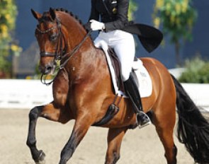 Lyndal Oatley on Sandro Boy