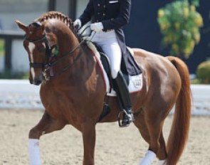 Susan Pape-Draper on Fiorano. This chestnut gelding has much talent for piaffe and passage but needed to find a steadier rhythm. The canter was ridden too safely, with little ground cover and expression.
