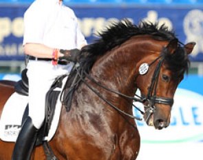 Hubertus Schmidt schooling the gorgeous stallion Florenciano