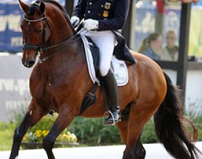 Hubertus Schmidt on Florenciano. This Florencio offspring excels in the canter work but is still weak behind in passage with dragging hindlegs and in the piaffe he stays small