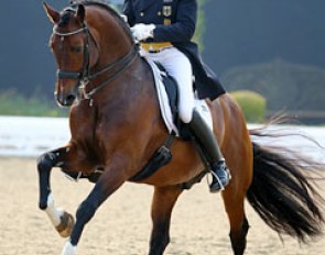 Hubertus Schmidt and Florenciano at the 2014 CDI Hagen :: Photo © Astrid Appels