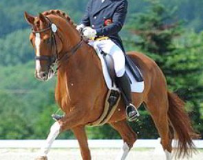 Jonas Schmitz-Heinen riding Matthias Rath's former small tour horse Wells Fargo