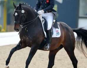 British Daniel Sherriff on Bayford Hall Dallaglio (by Laurentianer x Potsdam)
