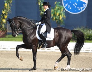 Kristina Sprehe and Desperardos at the 2014 CDI Hagen :: Photo © Astrid Appels