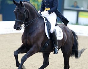 Dutch Petra van Esch on Unique (by Welt Hit II x Ferro). Petra came all the way through the system, from ponies to junior/young riders to Grand Prix. 