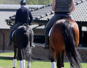 Anders and Fiona taking Selten HW and Sir Donato back to the barn