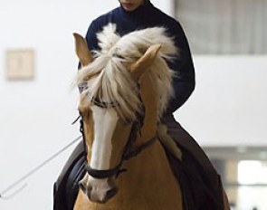 Pony rider Benedek Pachl on Macciato
