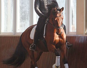 Ricardo Sanavio on a 6-year old Dutch warmblood by United x Cabochon