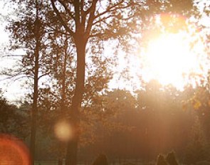 The rising winter sun at Sportpferde Im Brook