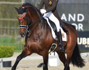 Julie de Deken and Lucky Dance at the 2014 CDI Nieuw en St. Joosland :: Photo © Samantha Fotografie