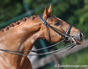 ...until Avec Plaisir bit his tongue and was eliminated for blood in the mouth