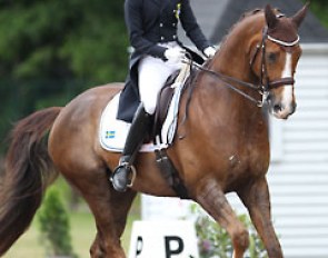 Emelie Aldenfalk and Winton at the 2014 CDI Kapellen :: Photo © Astrid Appels