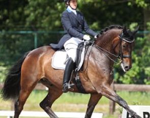 Ona Dewagenaere and Dabanos D'O4 at the 2014 CDI Kapellen :: Photo © Astrid Appels