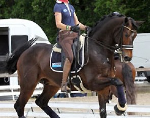 Alizee Froment schooling one of her new talented horses at the 2014 CDI Kapellen