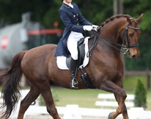 Isabel Giart on Nemo at the 2014 CDI Kapellen :: Photo © Astrid Appels