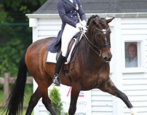 Johanna Jendlund on the talented Danish bred Grevens Rex