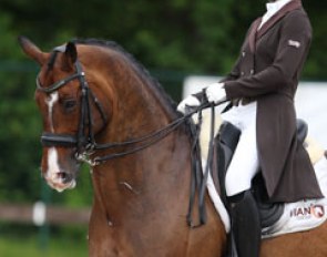 Ukrainian Alisa Kovanko took over the ride on Stallone from Inna Logutenkova