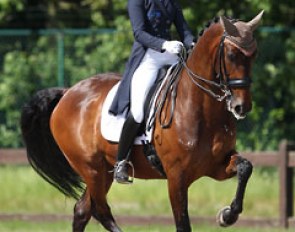 Delphine Meiresonne on Wipsy van 't Heihof