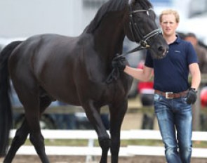 Matthias Rath and Totilas at the vet inspection at the 2014 CDI Kapellen :: Photo © Astrid Appels