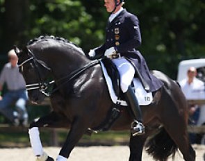 Rath warming up Totilas at the 2014 CDI Kapellen