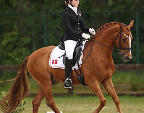 Karoline Rohmann on Adriano B at the 2014 CDI Kapellen :: Photo © Astrid Appels