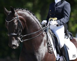 Australian born South African Tanya Seymour on Sirlano (by Sir Donnerhall I)
