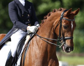 Laurence Vanommeslaghe and Avec Plaisir were well on their way to produce a 70% earning Special...