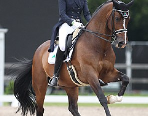Jorinde Verwimp and Tiano at the 2014 CDI Kapellen :: Photo © Astrid Appels