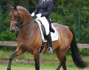 Sanne Vos on Christobalito