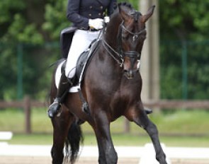 Stefanie Wolf on Sorento