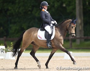 Lisanne Zoutendijk and Champ of Class at the 2014 CDI Kapellen :: Photo © Astrid Appels