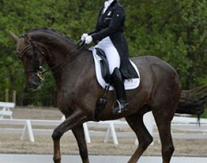 Anna Kasprzak and Honnerups Driver at the 2014 CDN Kolding :: Photo © Ridehesten