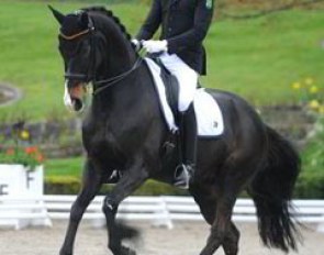 Luca Michels took over the ride on the 2013 European Junior Riders Champion Habitus